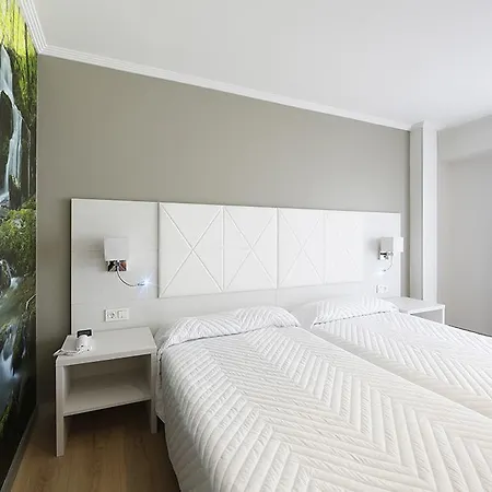 罗伊奥拉酒店 2* 阿兹佩希亚